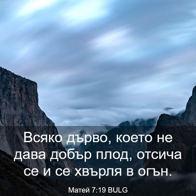 Picture 03 - Матей 7:19 BULG - Всяко дърво, което не дава - Bible Verse Picture