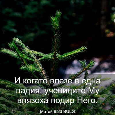 Picture 03 - Матей 8:23 BULG - И когато влезе в една - Bible Verse Picture