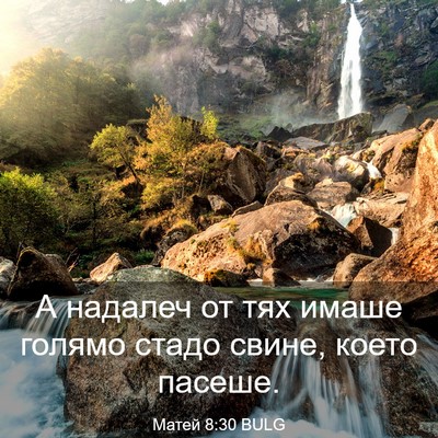 Picture 03 - Матей 8:30 BULG - А надалеч от тях имаше - Bible Verse Picture