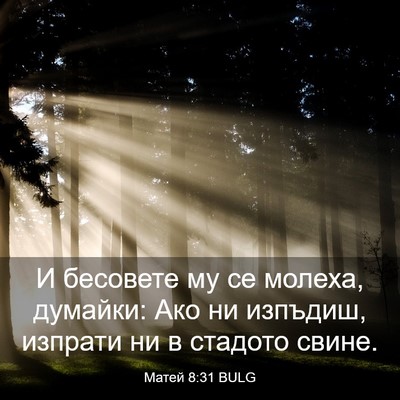 Picture 03 - Матей 8:31 BULG - И бесовете му се молеха, - Bible Verse Picture