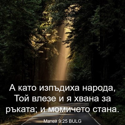 Picture 03 - Матей 9:25 BULG - А като изпъдиха народа, Той - Bible Verse Picture