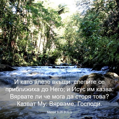 Picture 03 - Матей 9:28 BULG - И като влезе вкъщи, слепите - Bible Verse Picture