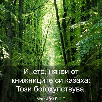 Picture 03 - Матей 9:3 BULG - И, ето, някои от книжниците - Bible Verse Picture