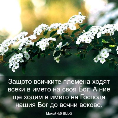 Picture 03 - Михей 4:5 BULG - Защото всичките племена - Bible Verse Picture