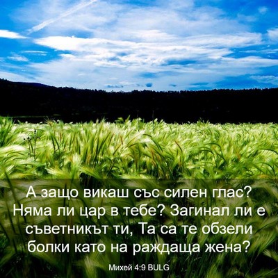 Picture 03 - Михей 4:9 BULG - А защо викаш със силен - Bible Verse Picture