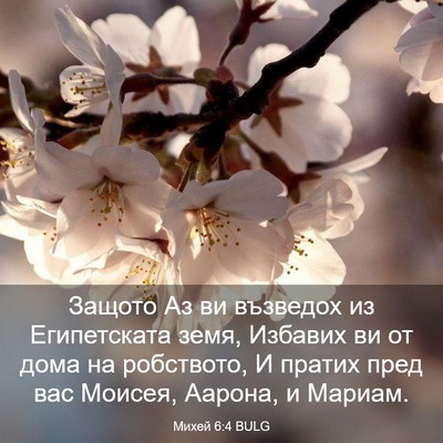 Picture 03 - Михей 6:4 BULG - Защото Аз ви възведох из - Bible Verse Picture