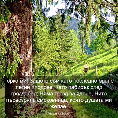 Picture 03 - Михей 7:1 BULG - Горко ми! Защото съм като - Bible Verse Picture