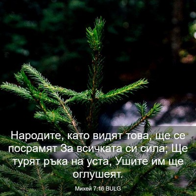 Picture 03 - Михей 7:16 BULG - Народите, като видят това, - Bible Verse Picture