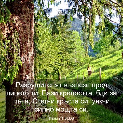 Picture 03 - Наум 2:1 BULG - Разрушителят възлезе пред - Bible Verse Picture