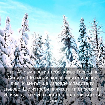 Picture 03 - Наум 2:13 BULG - Ето, Аз съм против тебе, - Bible Verse Picture