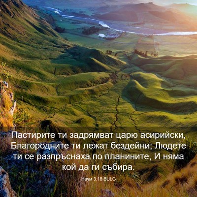 Picture 03 - Наум 3:18 BULG - Пастирите ти задрямват - Bible Verse Picture