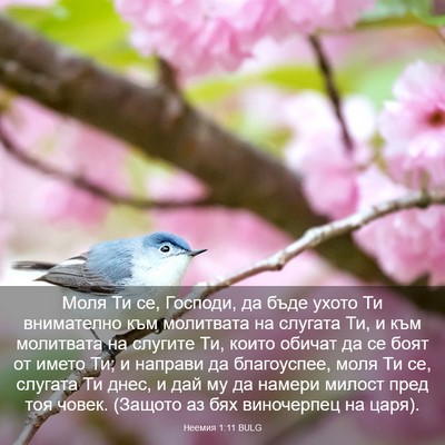 Picture 03 - Неемия 1:11 BULG - Моля Ти се, Господи, да бъде - Bible Verse Picture