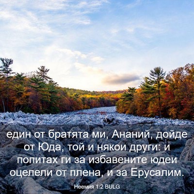 Picture 03 - Неемия 1:2 BULG - един от братята ми, Ананий, - Bible Verse Picture