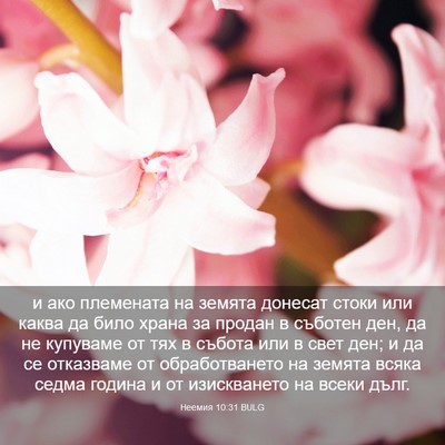 Picture 03 - Неемия 10:31 BULG - и ако племената на земята - Bible Verse Picture