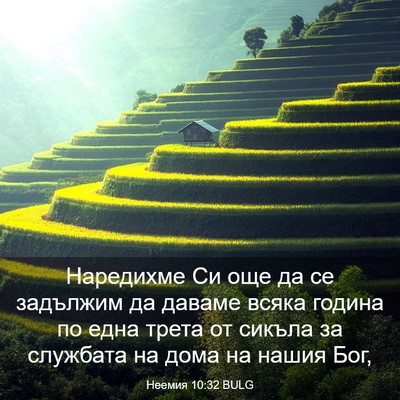 Picture 03 - Неемия 10:32 BULG - Наредихме Си още да се - Bible Verse Picture