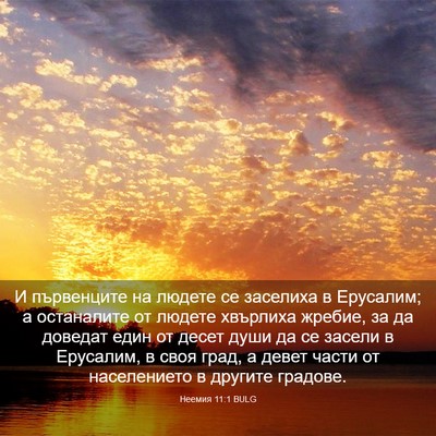 Picture 03 - Неемия 11:1 BULG - И първенците на людете се - Bible Verse Picture