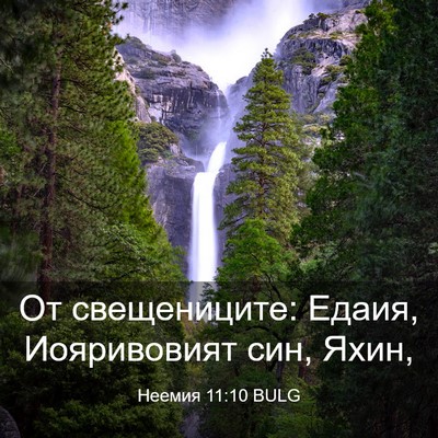 Picture 03 - Неемия 11:10 BULG - От свещениците: Едаия, - Bible Verse Picture