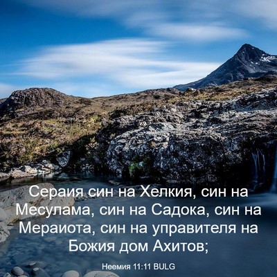 Picture 03 - Неемия 11:11 BULG - Сераия син на Хелкия, син - Bible Verse Picture