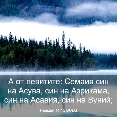 Picture 03 - Неемия 11:15 BULG - А от левитите: Семаия син - Bible Verse Picture