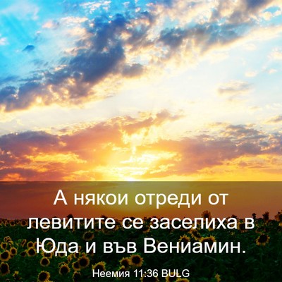 Picture 03 - Неемия 11:36 BULG - А някои отреди от левитите - Bible Verse Picture