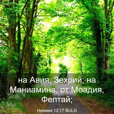 Picture 03 - Неемия 12:17 BULG - на Авия, Зехрий; на - Bible Verse Picture