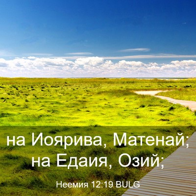 Picture 03 - Неемия 12:19 BULG - на Иоярива, Матенай; на - Bible Verse Picture