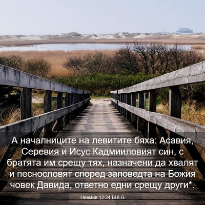 Picture 03 - Неемия 12:24 BULG - А началниците на левитите - Bible Verse Picture