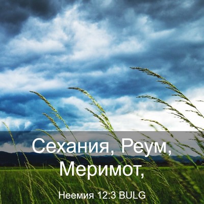 Picture 03 - Неемия 12:3 BULG - Сехания, Реум, - Bible Verse Picture