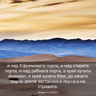 Picture 03 - Неемия 12:39 BULG - и над Ефремовата порта, и - Bible Verse Picture