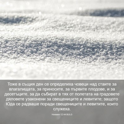 Picture 03 - Неемия 12:44 BULG - Тоже в същия ден се - Bible Verse Picture
