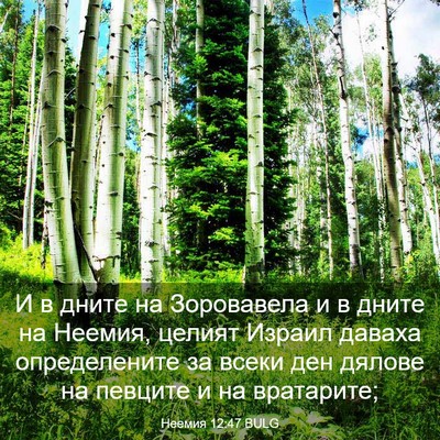 Picture 03 - Неемия 12:47 BULG - И в дните на Зоровавела и в - Bible Verse Picture
