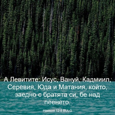 Picture 03 - Неемия 12:8 BULG - А Левитите: Исус, Вануй, - Bible Verse Picture