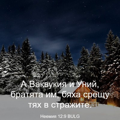 Picture 03 - Неемия 12:9 BULG - А Ваквукия и Уний, братята - Bible Verse Picture