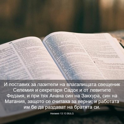Picture 03 - Неемия 13:13 BULG - И поставих за пазители на - Bible Verse Picture