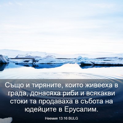 Picture 03 - Неемия 13:16 BULG - Също и тиряните, които - Bible Verse Picture