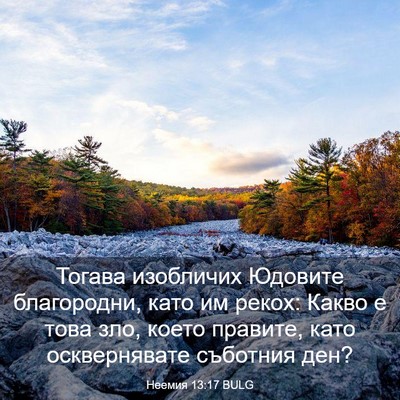 Picture 03 - Неемия 13:17 BULG - Тогава изобличих Юдовите - Bible Verse Picture