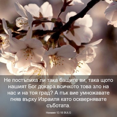 Picture 03 - Неемия 13:18 BULG - Не постъпиха ли така - Bible Verse Picture