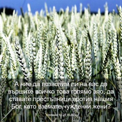 Picture 03 - Неемия 13:27 BULG - А ние да позволим ли на вас - Bible Verse Picture