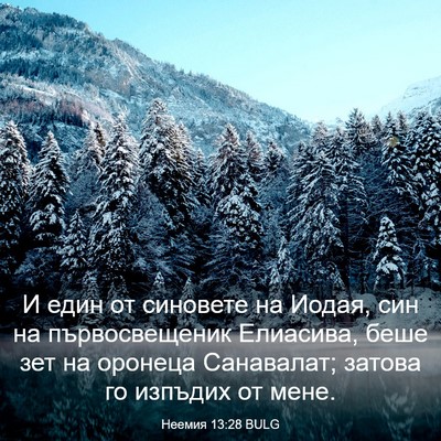 Picture 03 - Неемия 13:28 BULG - И един от синовете на - Bible Verse Picture