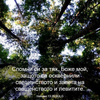 Picture 03 - Неемия 13:29 BULG - Спомни си за тях, Боже мой, - Bible Verse Picture