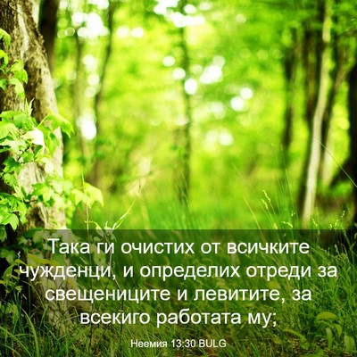 Picture 03 - Неемия 13:30 BULG - Така ги очистих от - Bible Verse Picture