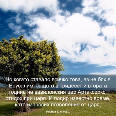 Picture 03 - Неемия 13:6 BULG - Но когато ставало всичко - Bible Verse Picture