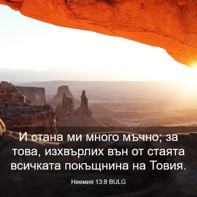 Picture 03 - Неемия 13:8 BULG - И стана ми много мъчно; за - Bible Verse Picture