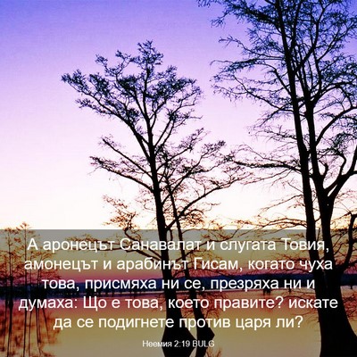 Picture 03 - Неемия 2:19 BULG - А аронецът Санавалат и - Bible Verse Picture
