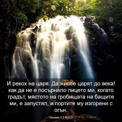 Picture 03 - Неемия 2:3 BULG - И рекох на царя: Да живее - Bible Verse Picture
