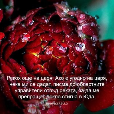 Picture 03 - Неемия 2:7 BULG - Рекох още на царя: Ако е - Bible Verse Picture