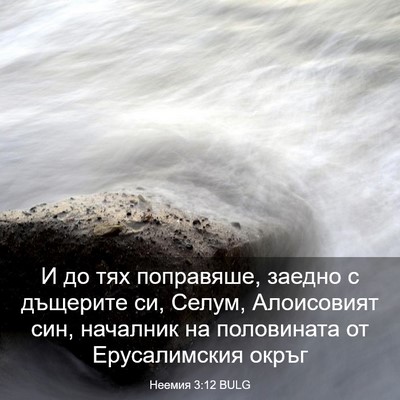 Picture 03 - Неемия 3:12 BULG - И до тях поправяше, заедно - Bible Verse Picture