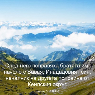 Picture 03 - Неемия 3:18 BULG - След него поправяха - Bible Verse Picture