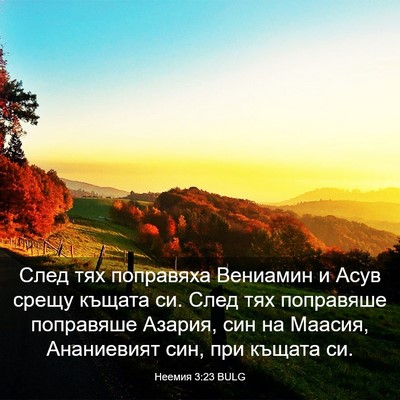 Picture 03 - Неемия 3:23 BULG - След тях поправяха - Bible Verse Picture