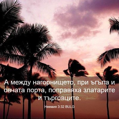 Picture 03 - Неемия 3:32 BULG - А между нагорнището, при - Bible Verse Picture